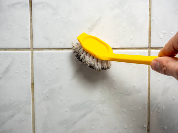 Best Same-Day Mold Removal  in Richmond, MN